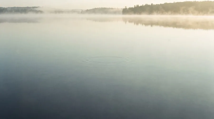 Still water at dawn with a single ripple spreading outward
